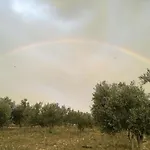 Nyaraló 